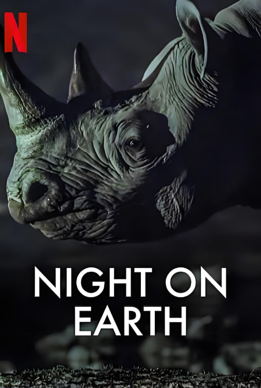 地球的夜晚